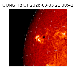 gong - 2026-03-03T21:00:42