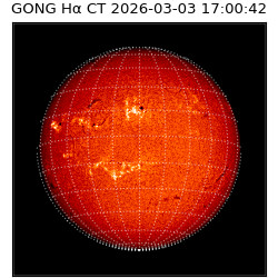 gong - 2026-03-03T17:00:42