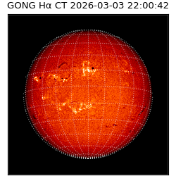 gong - 2026-03-03T22:00:42