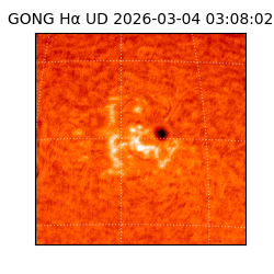 gong - 2026-03-04T03:08:02