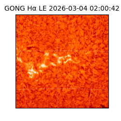 gong - 2026-03-04T02:00:42