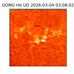 gong - 2026-03-04T03:08:02