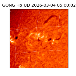 gong - 2026-03-04T05:00:02