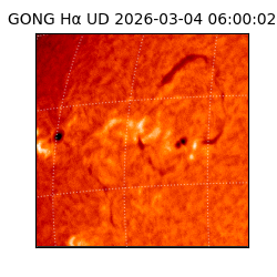 gong - 2026-03-04T06:00:02