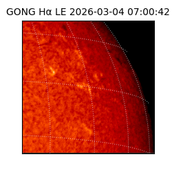 gong - 2026-03-04T07:00:42