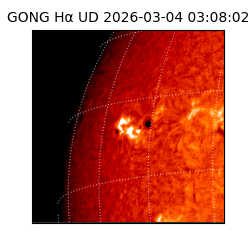 gong - 2026-03-04T03:08:02