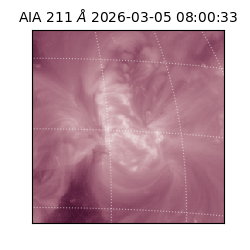 saia - 2026-03-05T08:00:33.625000