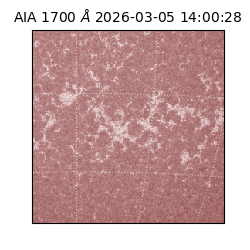 saia - 2026-03-05T14:00:28.717000