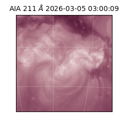 saia - 2026-03-05T03:00:09.626000