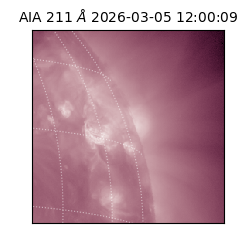 saia - 2026-03-05T12:00:09.626000