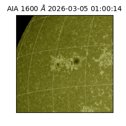 saia - 2026-03-05T01:00:14.118000