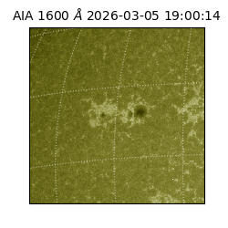 saia - 2026-03-05T19:00:14.118000