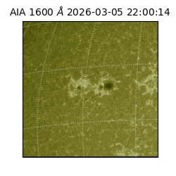 saia - 2026-03-05T22:00:14.131000