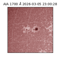 saia - 2026-03-05T23:00:28.717000