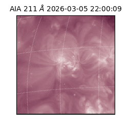 saia - 2026-03-05T22:00:09.632000