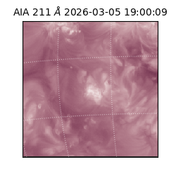 saia - 2026-03-05T19:00:09.618000