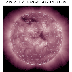 saia - 2026-03-05T14:00:09.626000