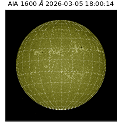 saia - 2026-03-05T18:00:14.118000
