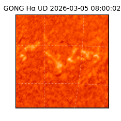 gong - 2026-03-05T08:00:02