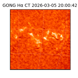 gong - 2026-03-05T20:00:42