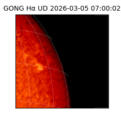 gong - 2026-03-05T07:00:02