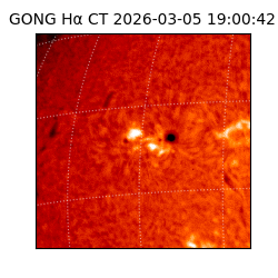 gong - 2026-03-05T19:00:42