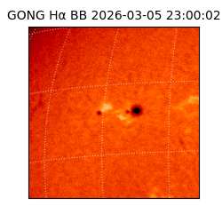 gong - 2026-03-05T23:00:02