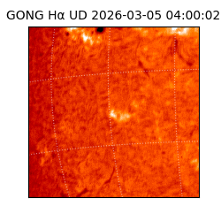 gong - 2026-03-05T04:00:02