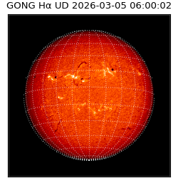 gong - 2026-03-05T06:00:02