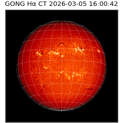 gong - 2026-03-05T16:00:42