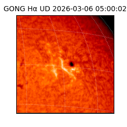 gong - 2026-03-06T05:00:02