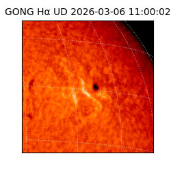 gong - 2026-03-06T11:00:02