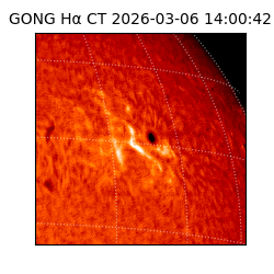 gong - 2026-03-06T14:00:42