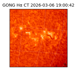 gong - 2026-03-06T19:00:42