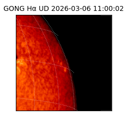 gong - 2026-03-06T11:00:02