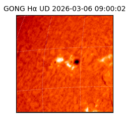 gong - 2026-03-06T09:00:02