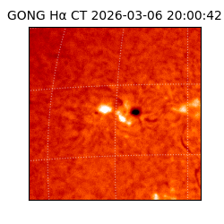 gong - 2026-03-06T20:00:42