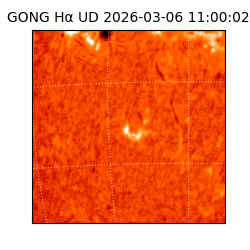 gong - 2026-03-06T11:00:02