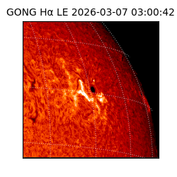gong - 2026-03-07T03:00:42