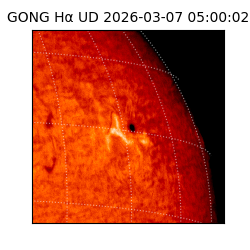 gong - 2026-03-07T05:00:02