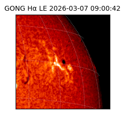 gong - 2026-03-07T09:00:42