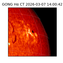 gong - 2026-03-07T14:00:42