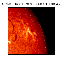 gong - 2026-03-07T18:00:42