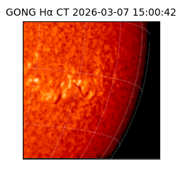 gong - 2026-03-07T15:00:42