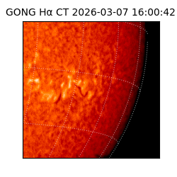 gong - 2026-03-07T16:00:42