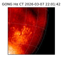 gong - 2026-03-07T22:01:42