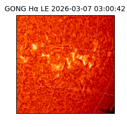 gong - 2026-03-07T03:00:42