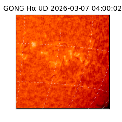 gong - 2026-03-07T04:00:02