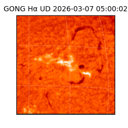 gong - 2026-03-07T05:00:02