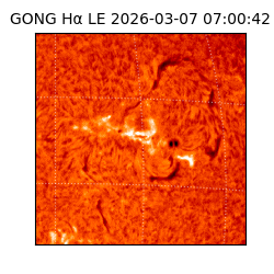 gong - 2026-03-07T07:00:42